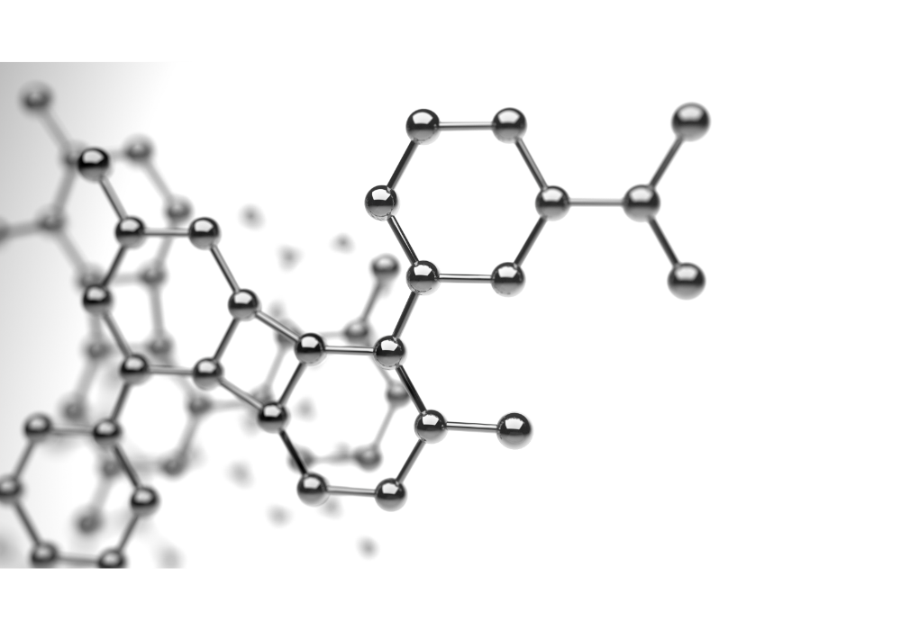 Modelling – SOION TECH